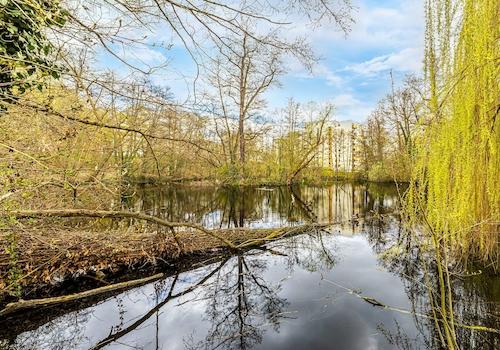 Praterweiher