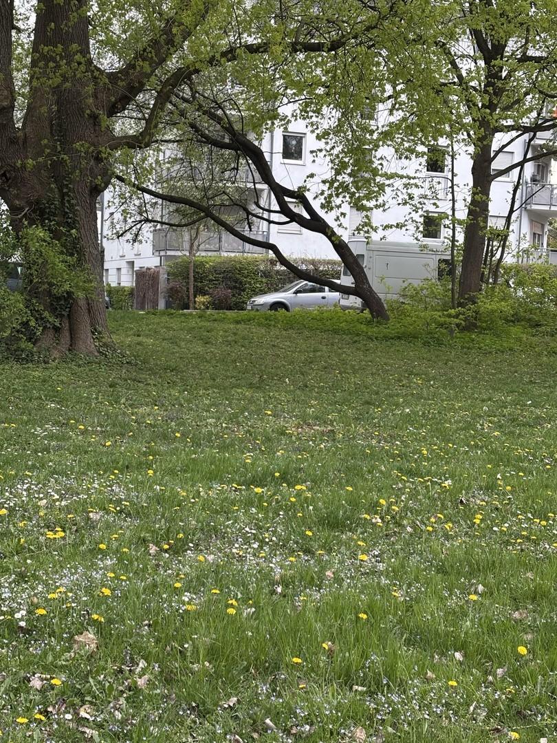 Blick vom Lech zur Wohnung