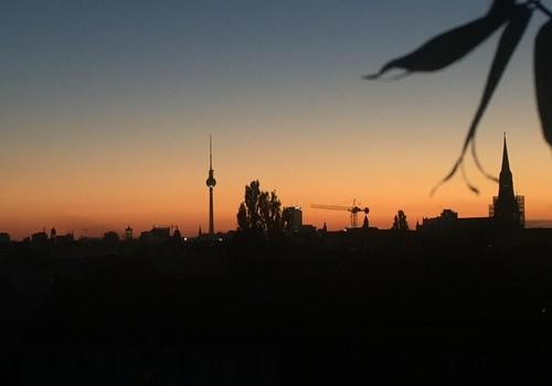 Blick von Terrasse im Sommer