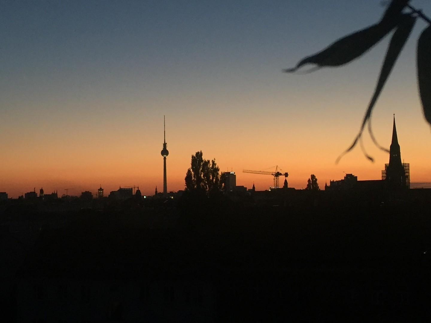 Blick von Terrasse im Sommer