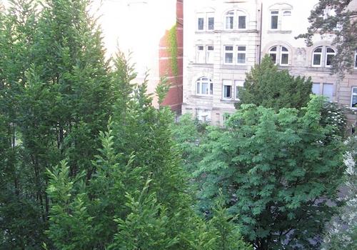 Blick Veranda nach Süden