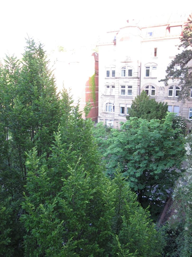 Blick Veranda nach Süden