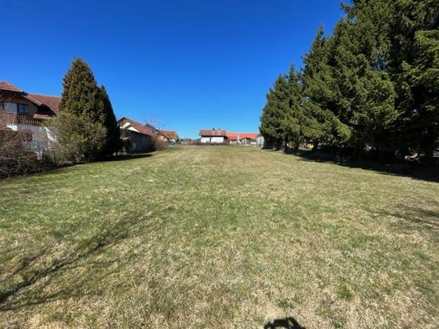 Blick vom Ende des Grundstücks