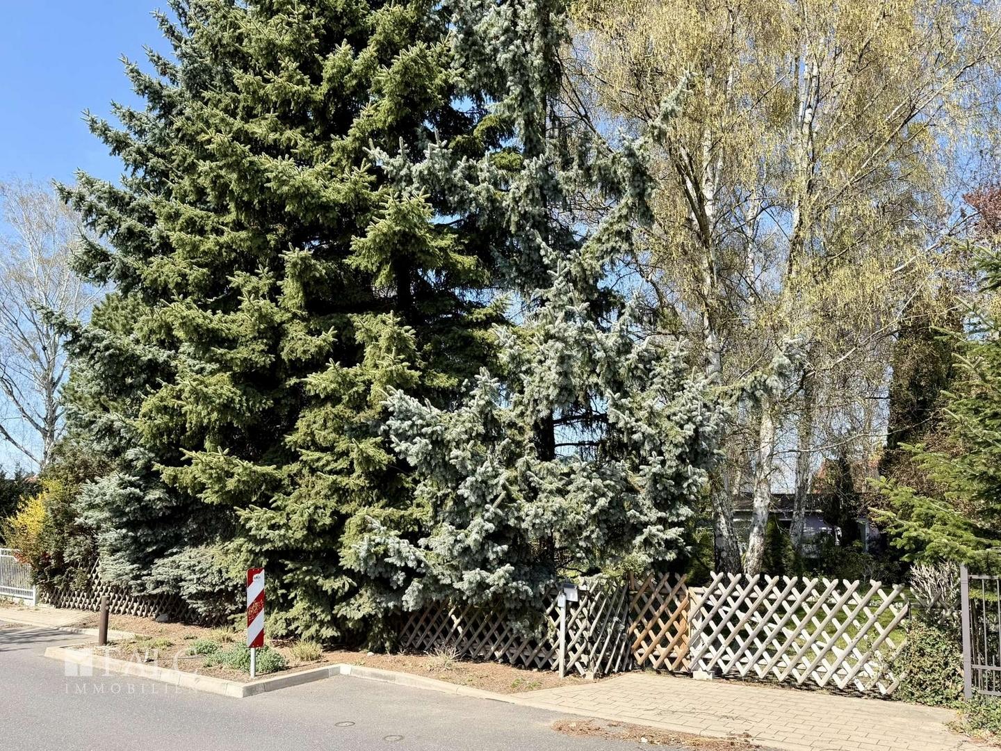 Straßenseite