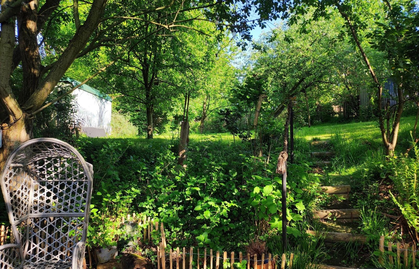Blick in den Garten