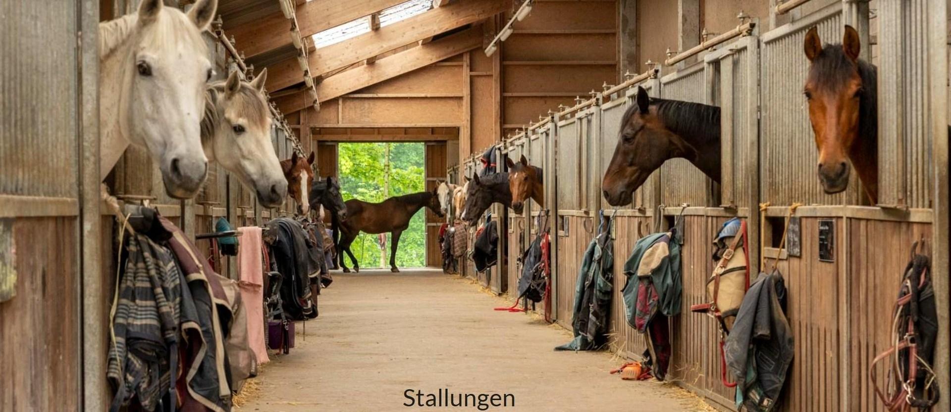 Reithallenstall mit 