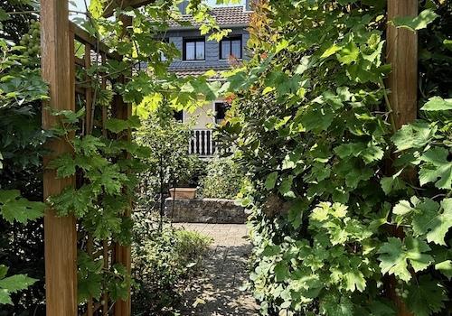 Weg zum Garten