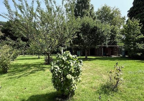 Blick in den Garten