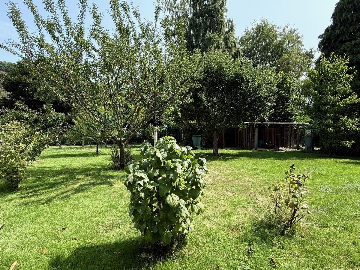 Blick in den Garten