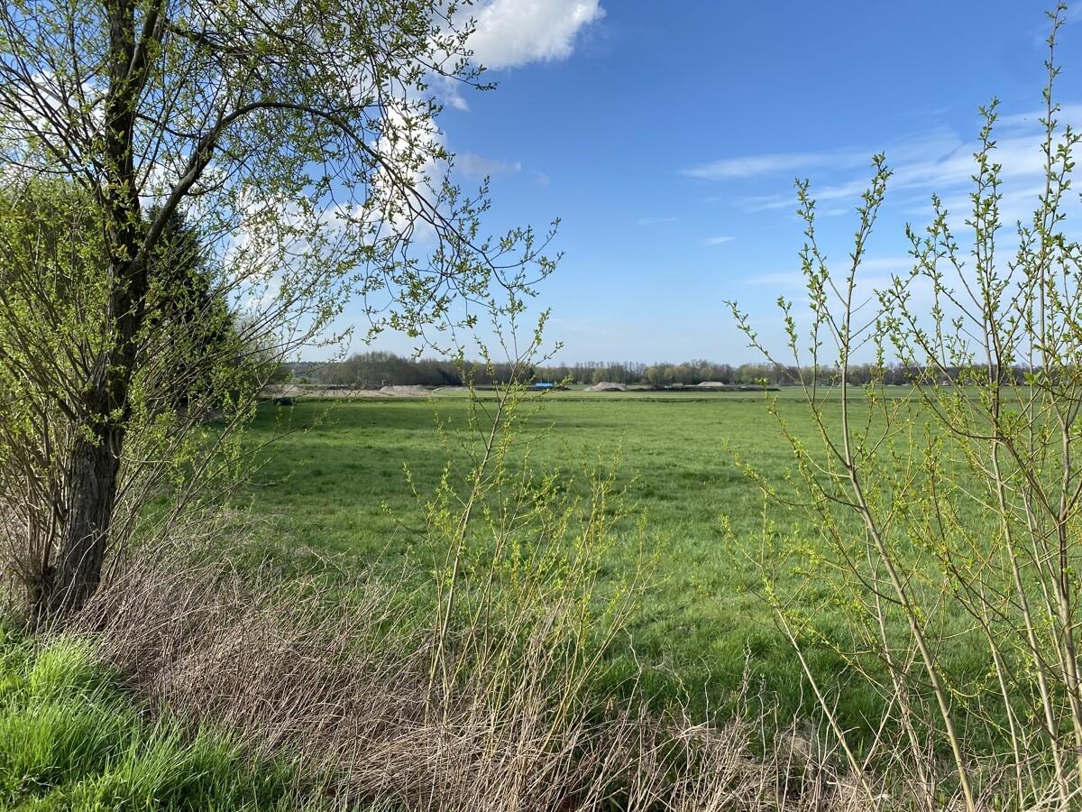 Fläche Schützenstraße