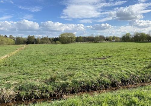 Fläche Schützenstraße