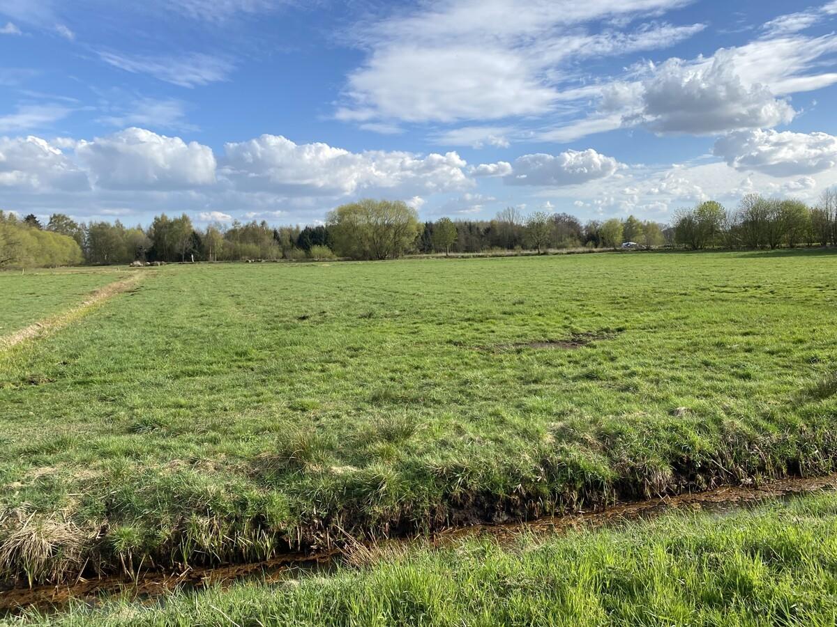 Fläche Schützenstraße