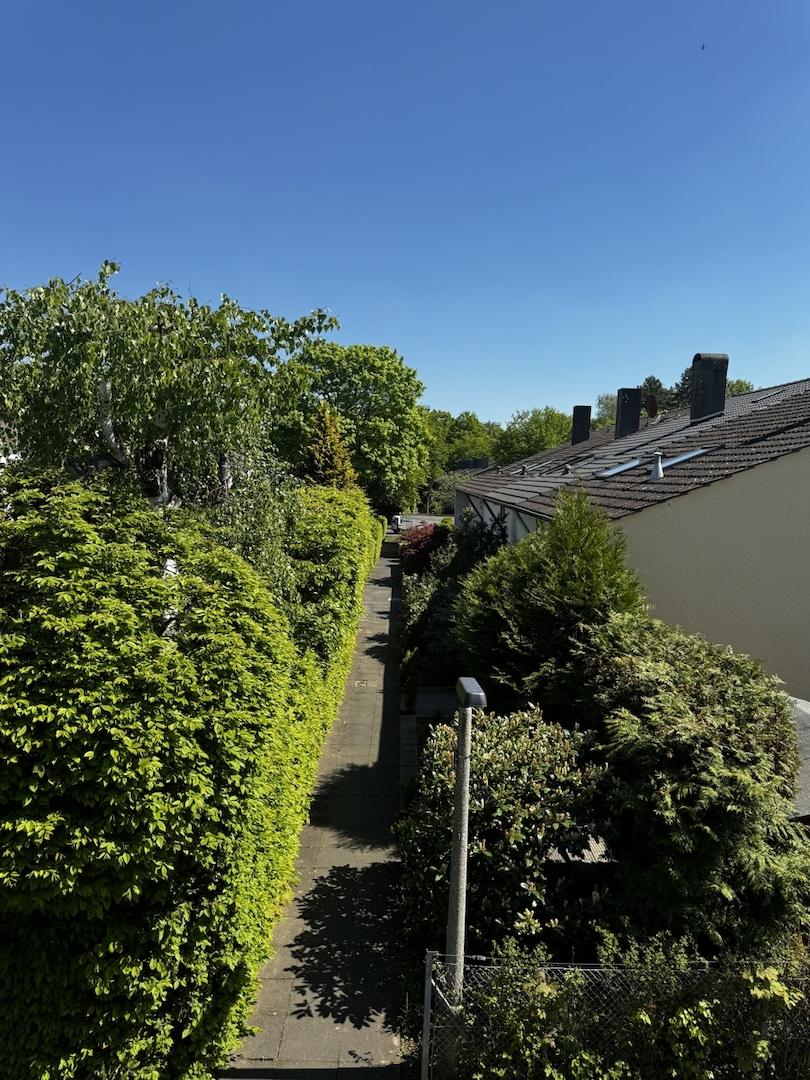Ausblick