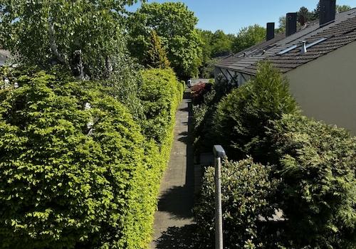 Umgebung