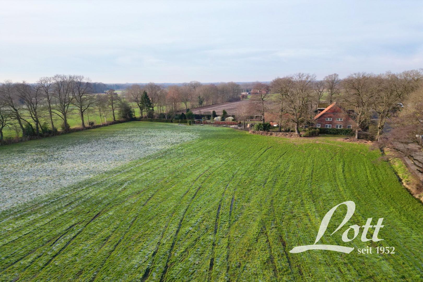 Drohnenaufnahmen vom Grünland