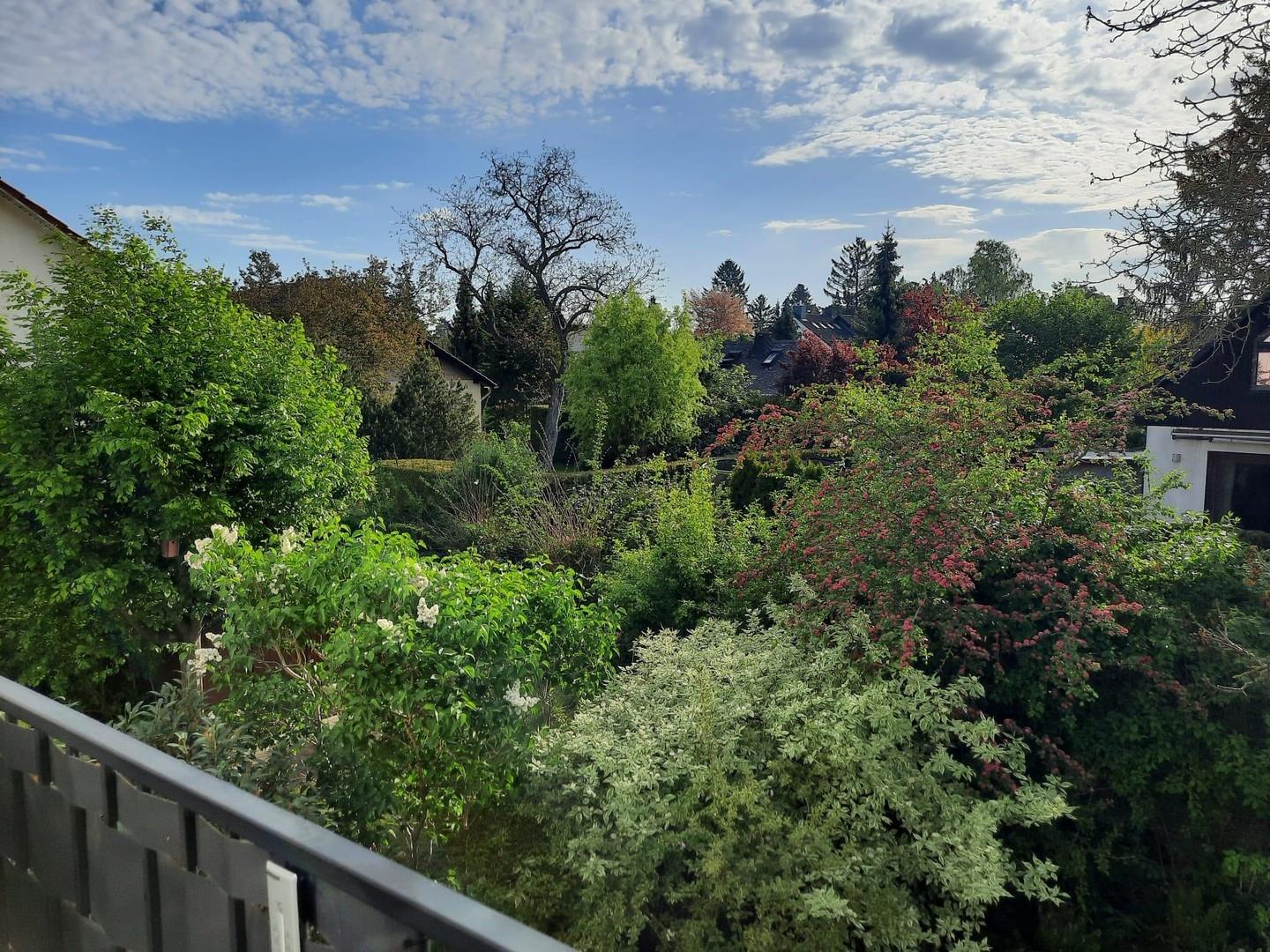 Balkon 3