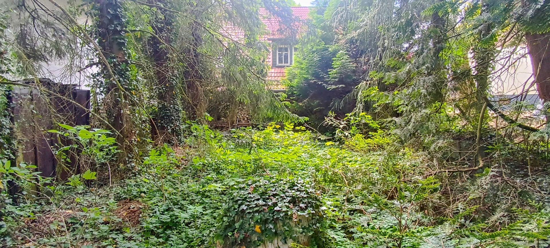 Gartenansicht