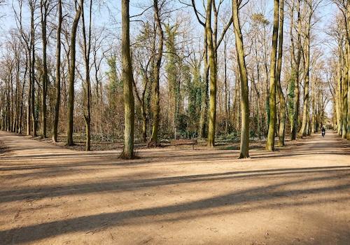 Umgebung Heinrich-Laehr-Park