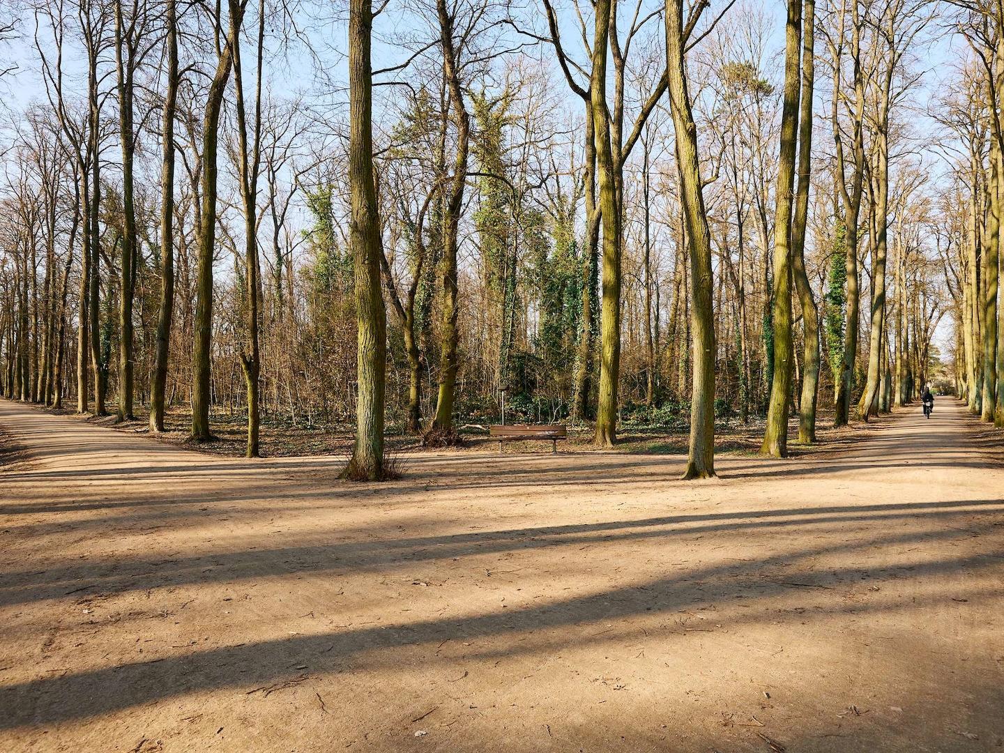 Umgebung Heinrich-Laehr-Park