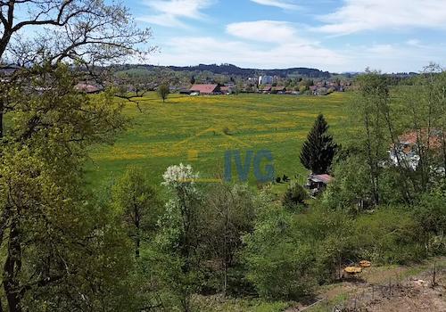 Ausblick