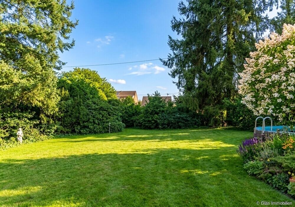 Blick ins Grüne