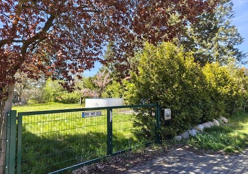 Straßenseite mit Tor und Hecke