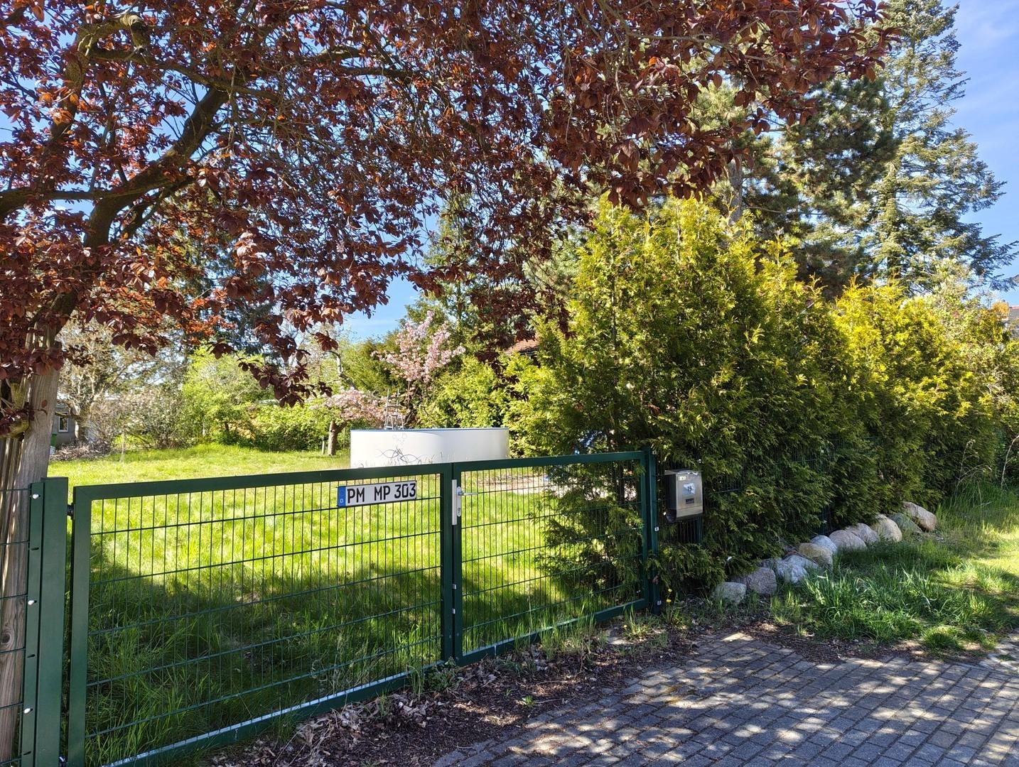 Straßenseite mit Tor und Hecke