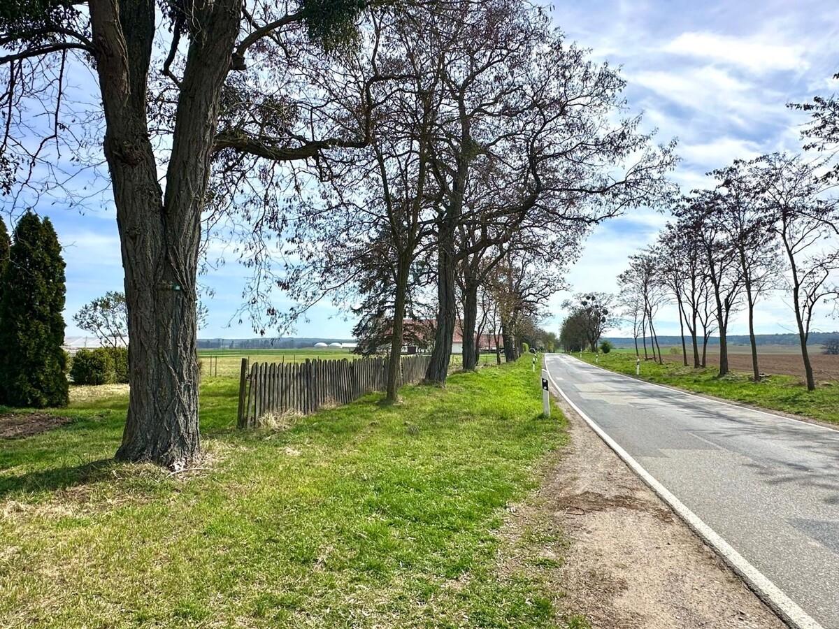 Umgebung