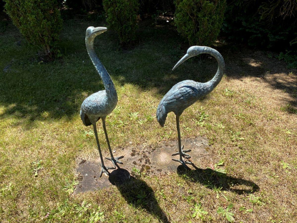 Gartenimpressionen
