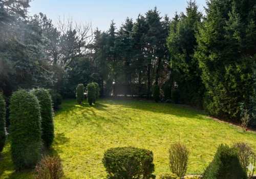 weitläufiger Garten