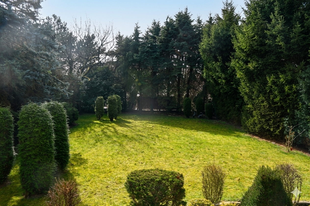 weitläufiger Garten