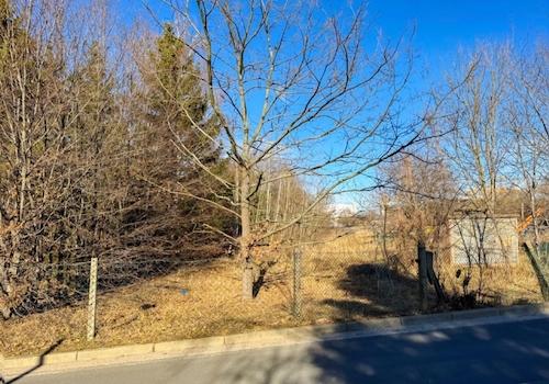 Ansicht von Südwest (2)