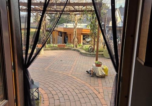 Blick über Terrasse in Garten