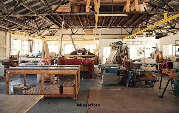 Keine Originalbilder