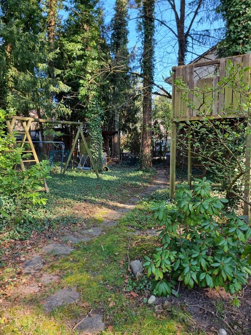 hinterer Bereich im Garten