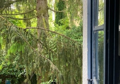 Blick in Garten.jpg