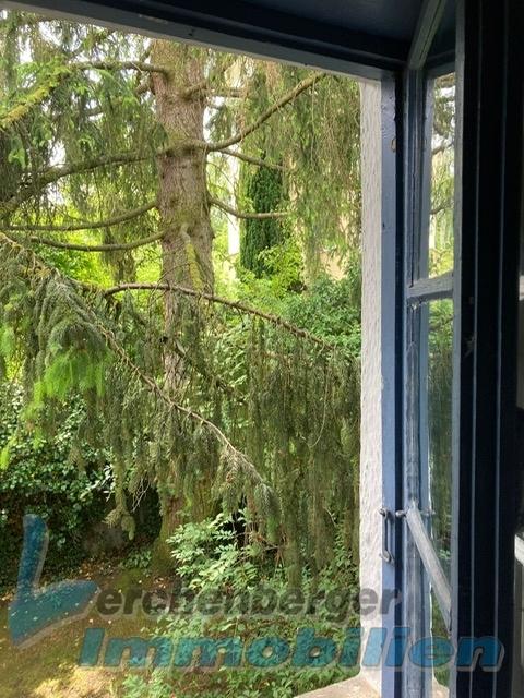 Blick in Garten.jpg