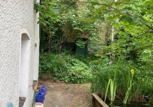 Garten.jpg (2)