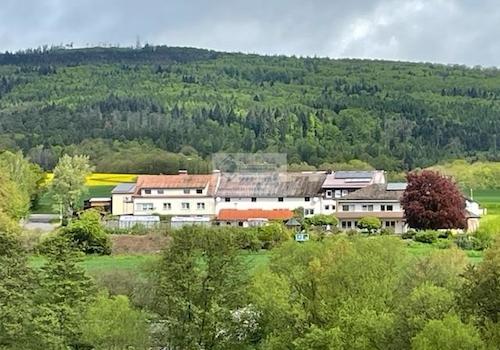 Aufnahme vom Wald