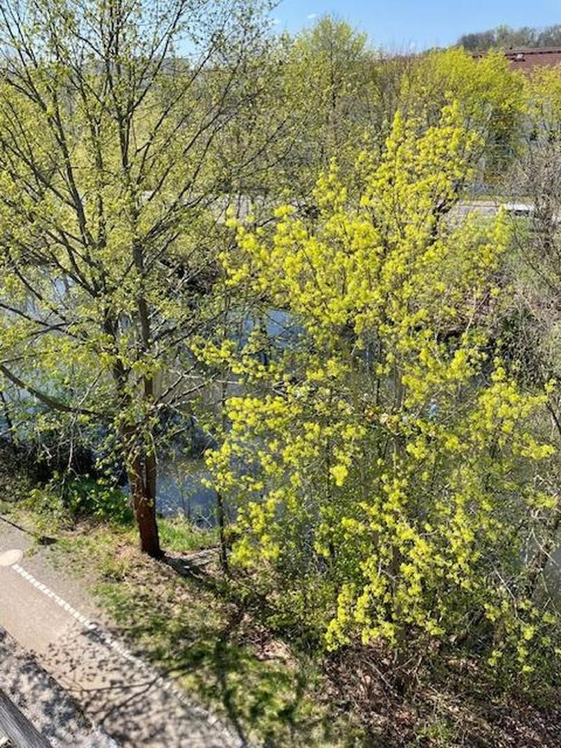 Spreeblick vom Balkon