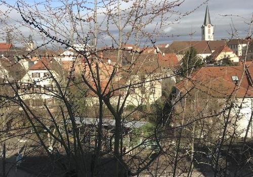 Wiesloch, Blick über Dächer