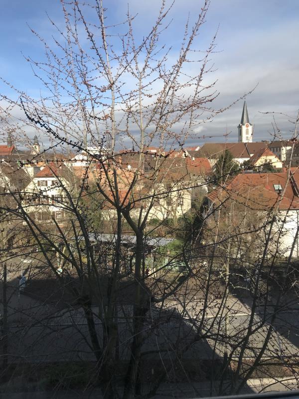 Wiesloch, Blick über Dächer