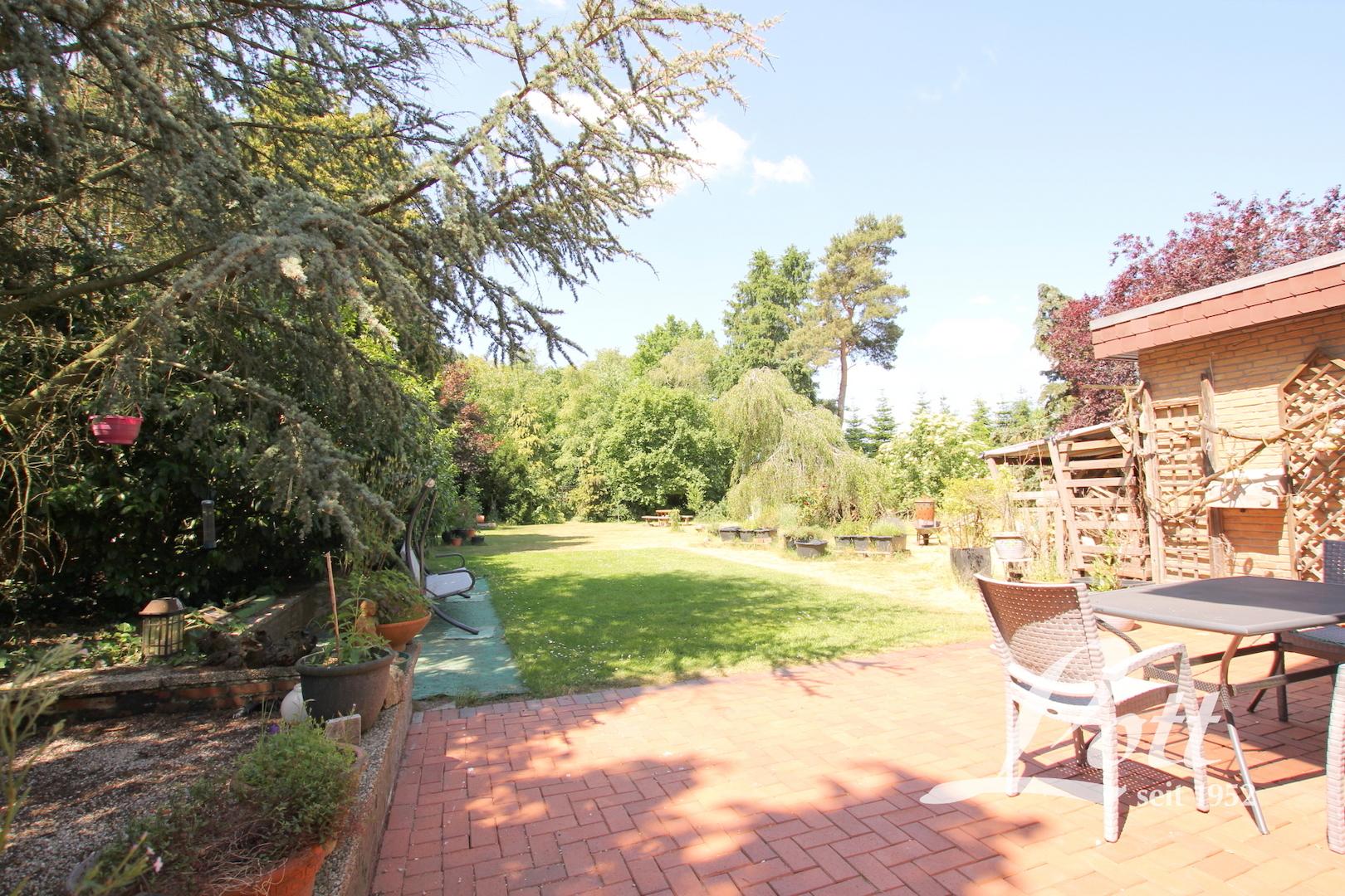 Blick in den Garten