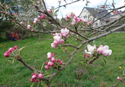 Bald ist es wieder so weit...