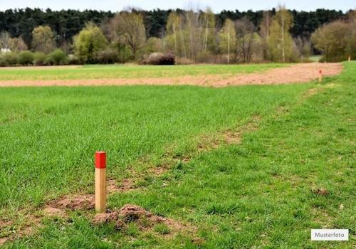 Grundstück_Wiese_Musterfoto