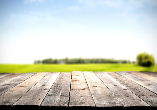 Blick in den Garten,  Holzbretter