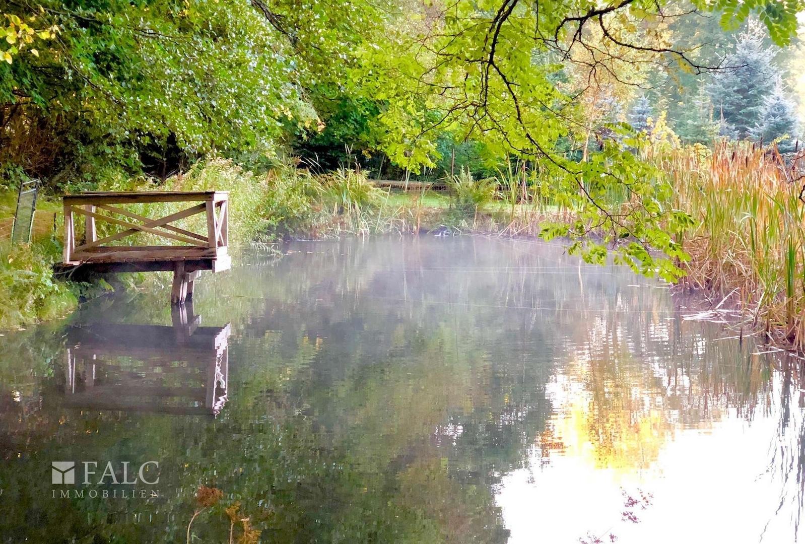 Teich 