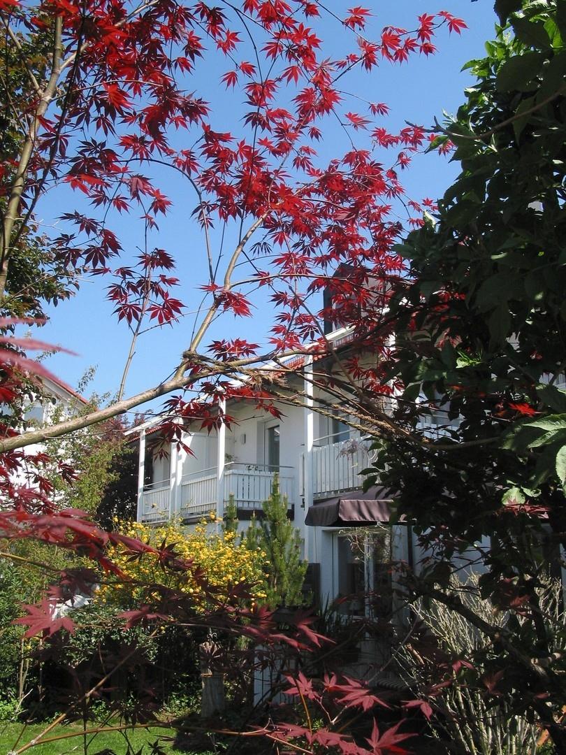 Blick vom Gartenweg SW