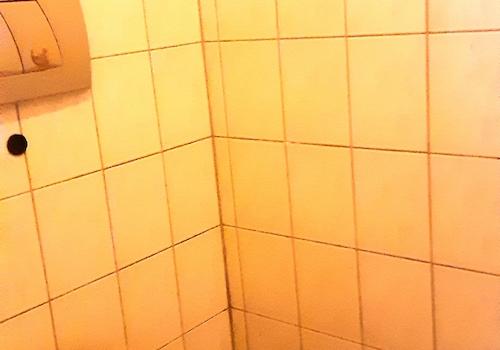 Gäste WC  (EG (1OG))