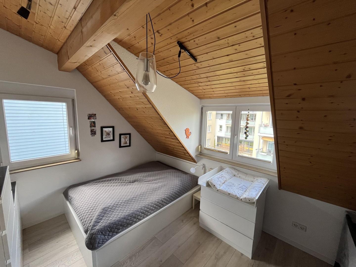 Zimmer DG 2